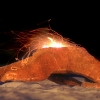 Starfish Fire Pit